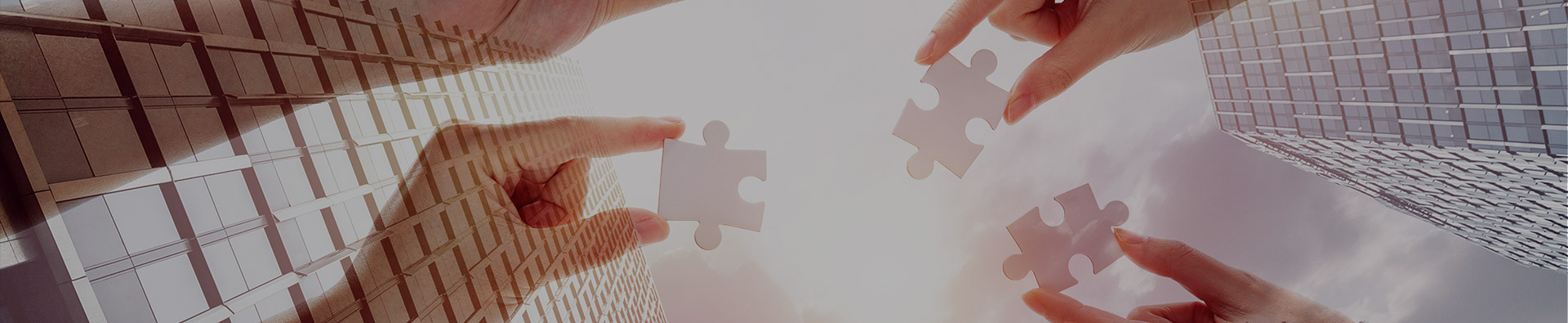 ���������������������ι�˾